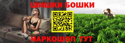 jwh Бийск