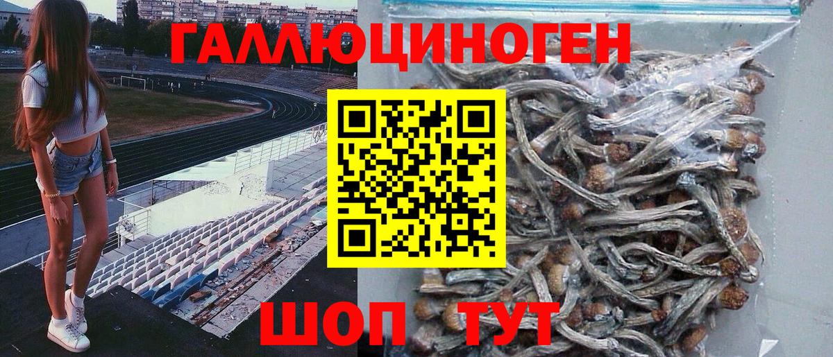 Псилоцибиновые грибы GOLDEN TEACHER  Вход с VPN  продажа наркотиков  Кинель 